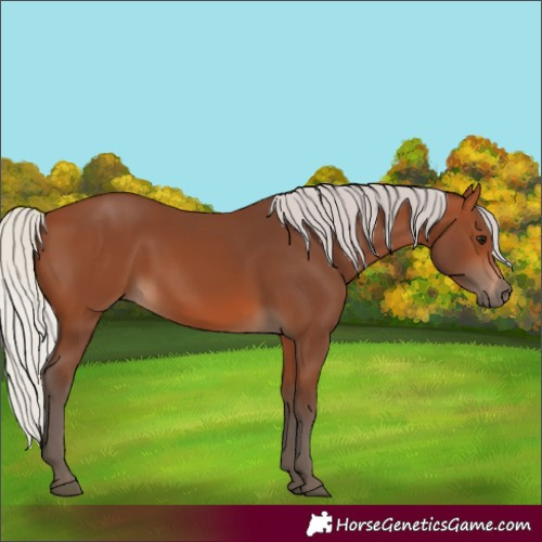 Horse Color:Silver Brown 