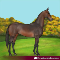 Horse Color:Brown 