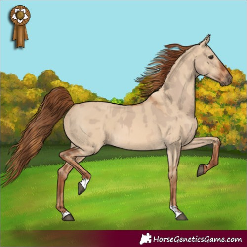 Horse Color:Red Dun  and Red Dun 
