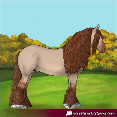 Horse Color:Red Dun