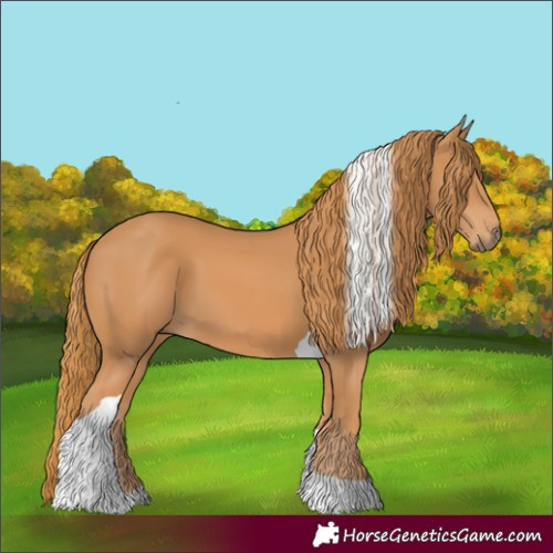 Horse Color:Chestnut Tobiano