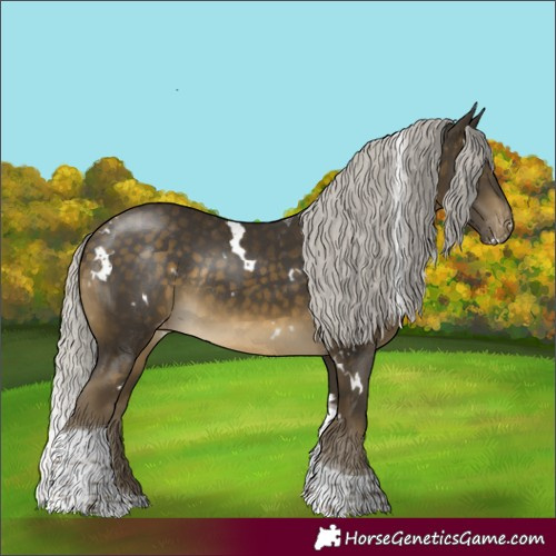 Horse Color:White Spotted Silver Buckskin Tobiano Skewed LP Spotted Rabicano 
