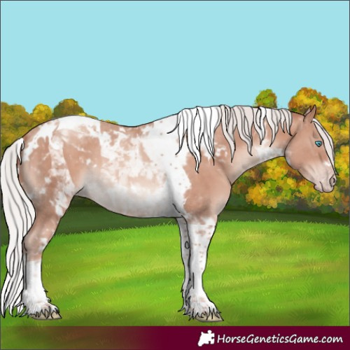 Horse Color:White Spotted Silver Amber Champagne Mushroom Tobiano 