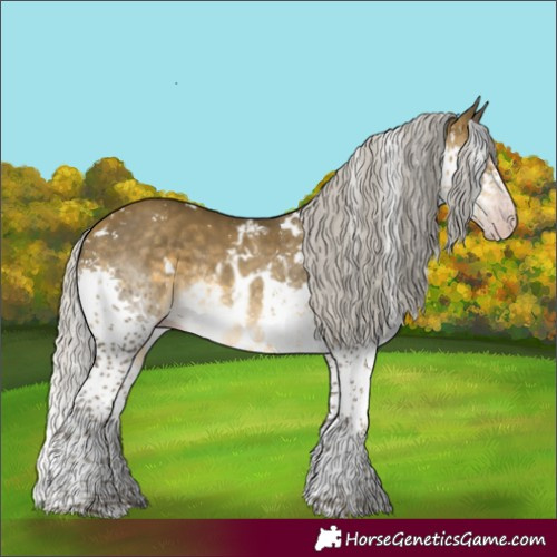 Horse Color:Gray White Spotted Silver Sable Cream Champagne Mushroom Splash Skewed Appaloosa Rabicano