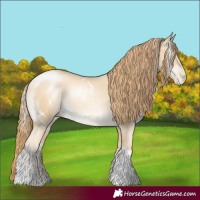 Horse Color:White Spotted Classic Cream Champagne Pearl Tobiano Rabicano