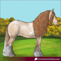 Horse Color:White Spotted Brown Pearl Dun Tobiano Appaloosa Rabicano