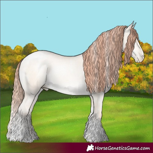 Horse Color:Powder White Amber Champagne Snowdrop Pearl Dun Tobiano Rabicano 