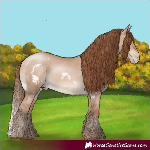 Horse Color:White Spotted Bay Pearl Dun 