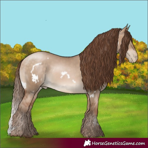 Horse Color:White Spotted Bay Pearl Dun