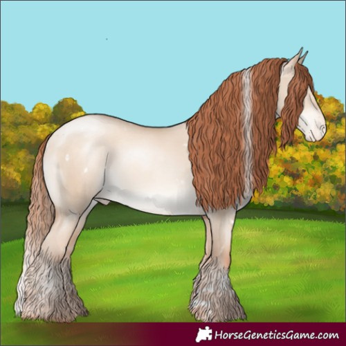 Horse Color:White Spotted Amber Champagne Pearl Dun Appaloosa Rabicano 