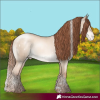 Horse Color:White Spotted Amber Champagne Pearl Dun Appaloosa Rabicano