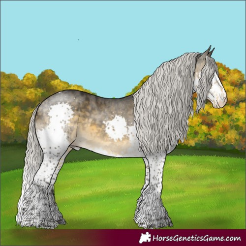 Horse Color:Silver Buckskin Mushroom Splash Tobiano Skewed LP Spotted Rabicano 