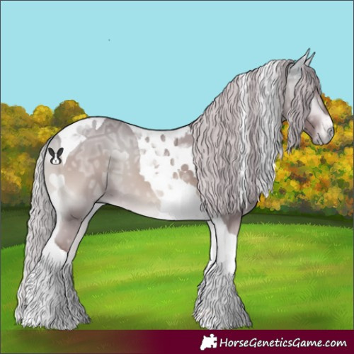 Horse Color:Chocolate Silver Buckskin Chinchilla Ice Onyx Tobiano 