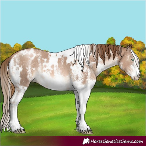 Horse Color:White Spotted Liver Chestnut Pearl 
