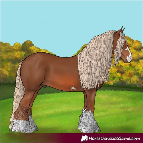 Horse Color:Chestnut 