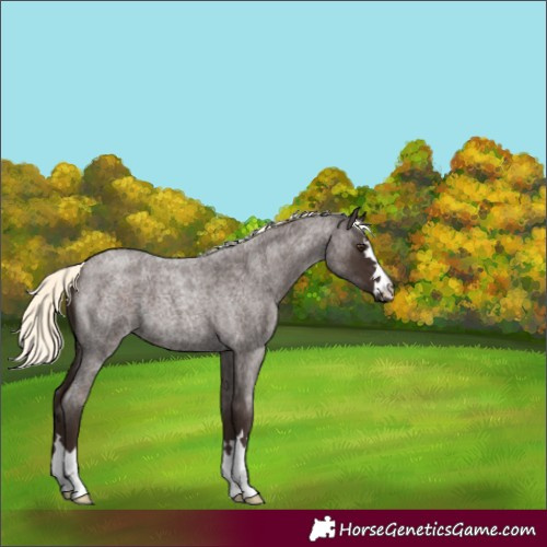 Horse Color:Liver Red Roan Mushroom 
