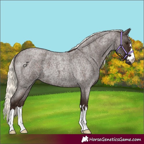 Horse Color:Liver Red Roan Mushroom 