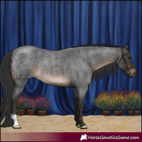 Horse Color:Brown Roan