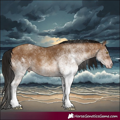 Horse Color:Gray White Spotted Amber Champagne Tobiano Rabicano