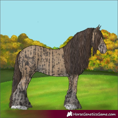 Horse Color:Smoky Black and Classic Cream Champagne