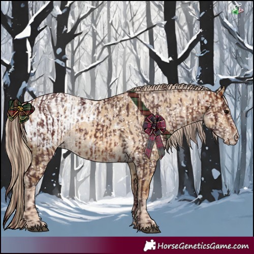 Horse Color:Chocolate Brown Snowflake Varnish  and Chocolate Palomino Dun Blanket 