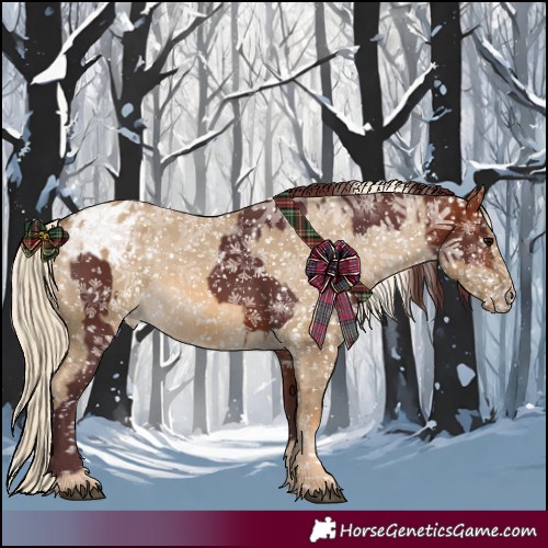 Horse Color:Chocolate Bay Appaloosa  and Chocolate Palomino Dun Appaloosa 