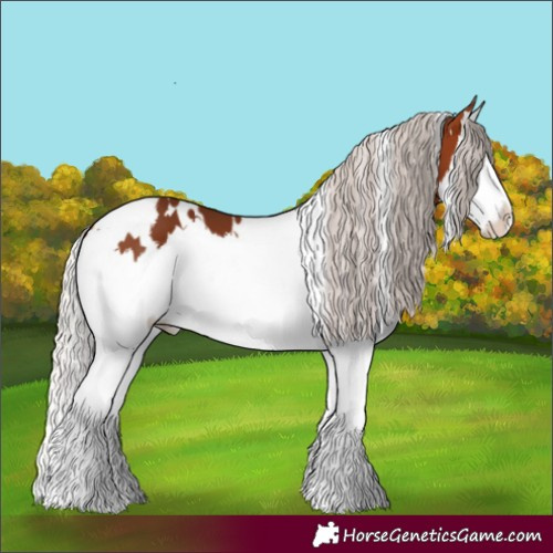 Horse Color:White Spotted Silver Brown Splash 