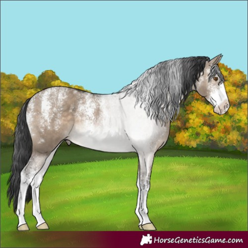 Horse Color:Powder White Brown Dun 