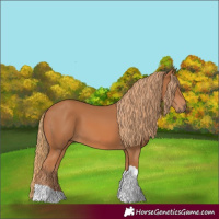 Horse Color:Chestnut Tobiano Rabicano 