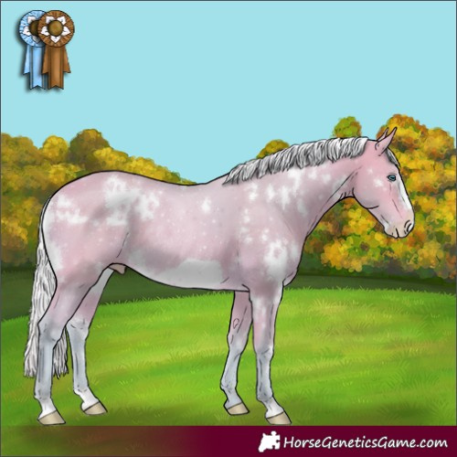 Horse Color:Watercolor White Spotted Silver Perlino Frame Rabicano 