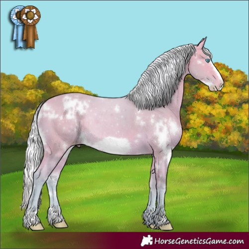 Horse Color:Watercolor White Spotted Silver Perlino Frame Rabicano 