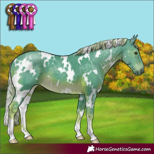 Horse Color:Watercolor White Spotted Chocolate Palomino 