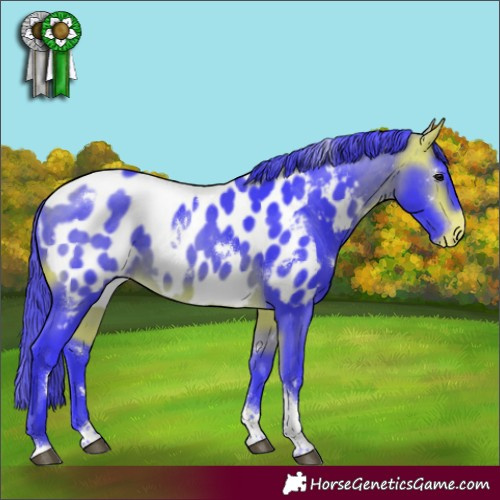 Horse Color:Watercolor White Spotted Buckskin Tobiano Appaloosa