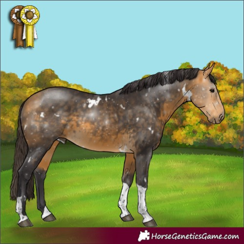 Horse Color:White Spotted Buckskin Tobiano Rabicano 