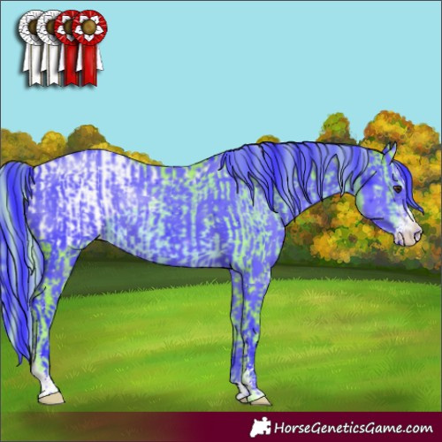 Horse Color:Watercolor Chocolate Palomino Sabino Appaloosa Rabicano  and Watercolor Smoky Black Sabino Appaloosa Rabicano 