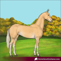 Horse Color:Palomino