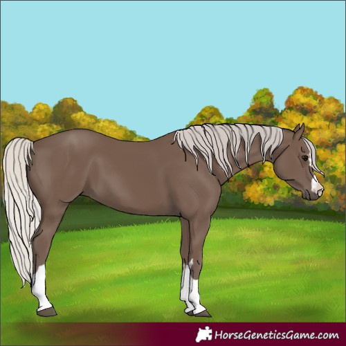 Horse Color:Silver Black 
