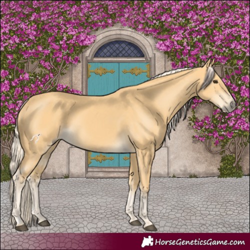 Horse Color:Palomino
