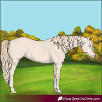 Horse Color:Perlino 