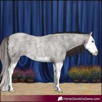 Horse Color:Liver Red Roan Splash 