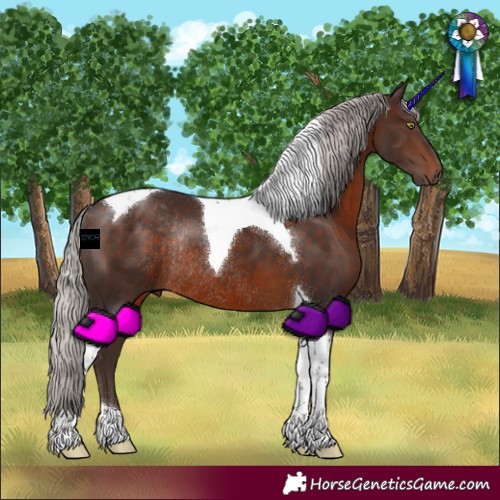 Horse Color:Silver Brown Tobiano Rabicano 
