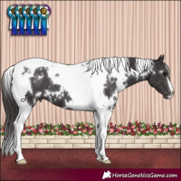 Horse Color:White Spotted Smoky Black Tobiano 