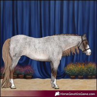 Horse Color:Liver Red Roan Sabino 