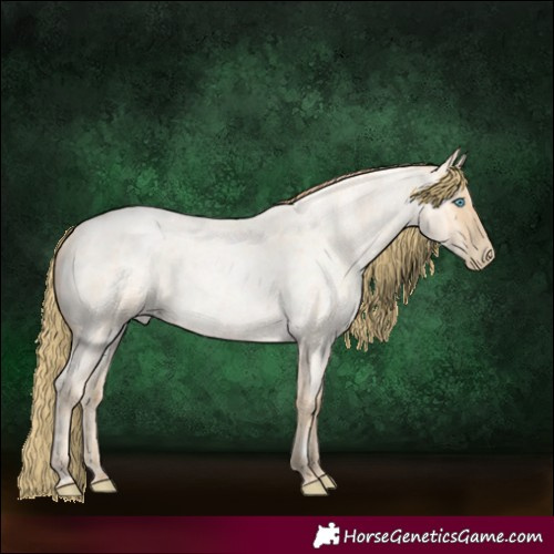 Horse Color:Buckskin Roan Pearl and Buckskin Roan Pearl