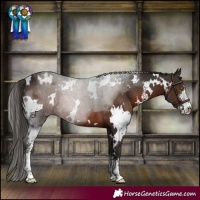 Horse Color:White Spotted Liver Chestnut Sabino Rabicano