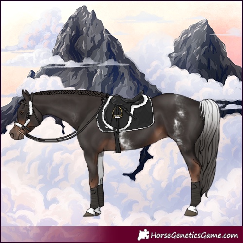 Horse Color:White Spotted Liver Chestnut