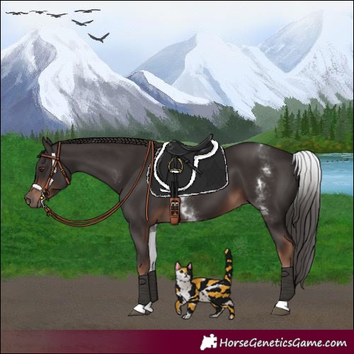 Horse Color:White Spotted Liver Chestnut 