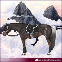 Horse Color:White Spotted Liver Chestnut