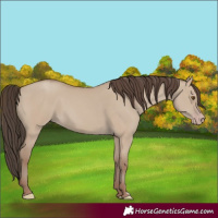 Horse Color:Classic Champagne Dun 