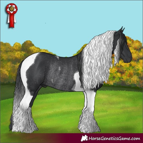 Horse Color:Black Tobiano Rabicano